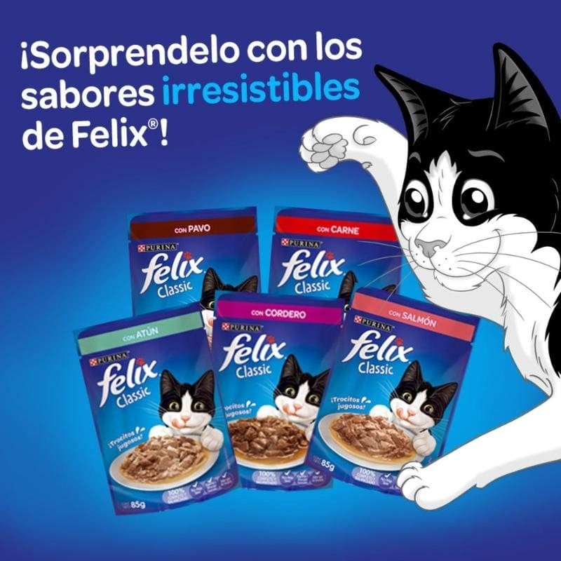 felix-classic-con-salmon