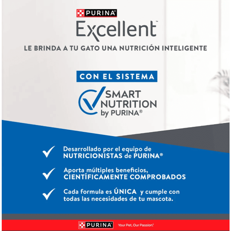 excellent-gatitos-pollo-arroz