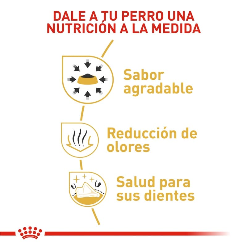 royal-canin-chihuahua-adulto