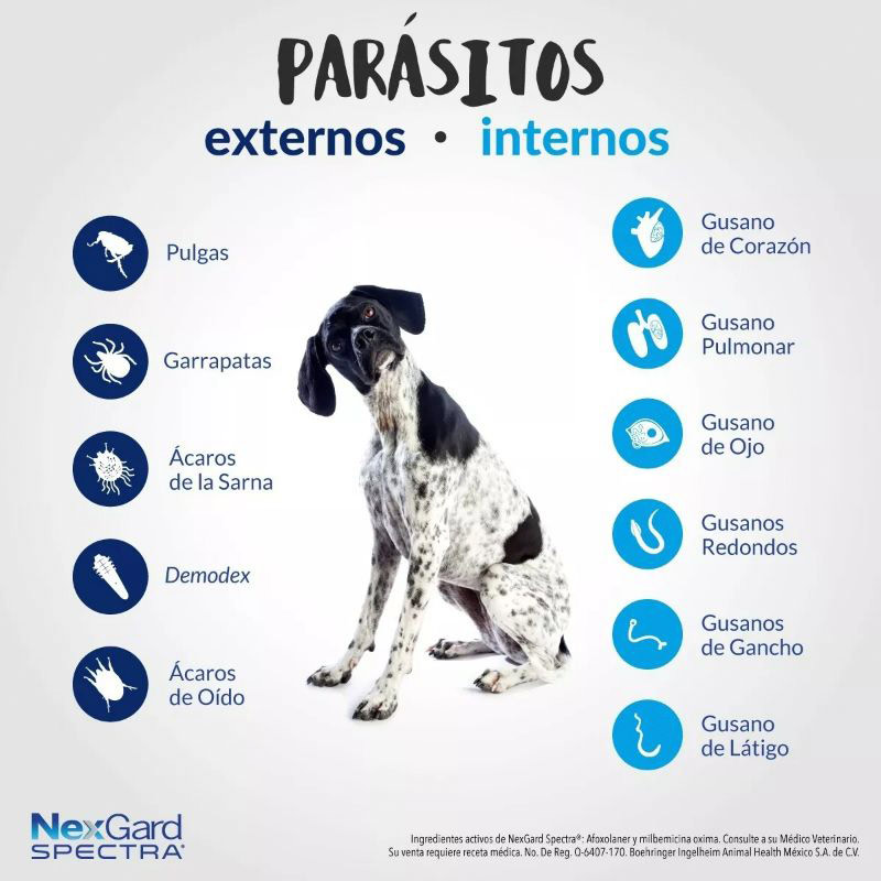 nexgard-spectra-tableta-masticable-para-perros-2-35-kg