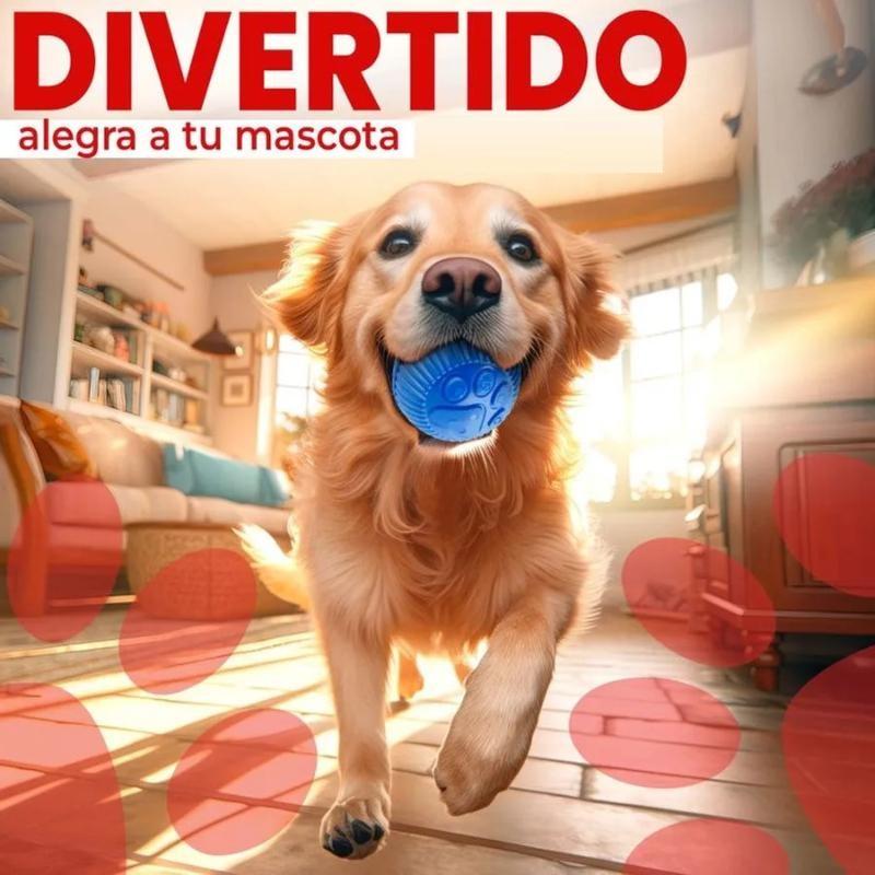 paw-day-pelota-mediana