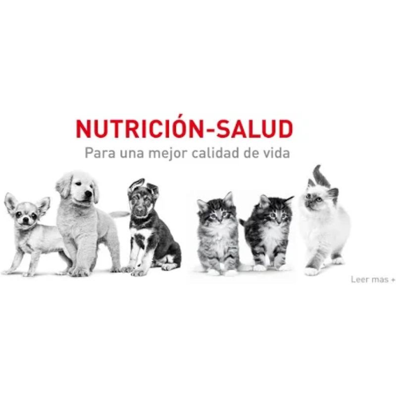 royal-canin-alimento-humedo-cachorro-todas-las-tallas-receta-pollo