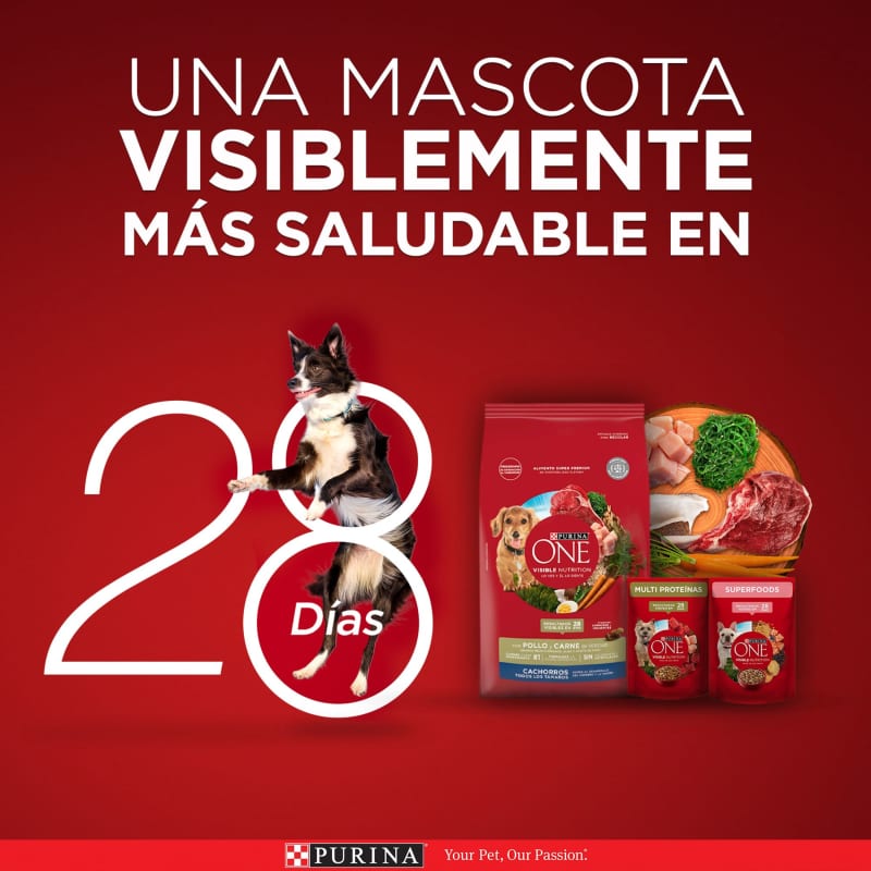 purina-one-cachorros-todos-los-tamanos-pollo-y-carne
