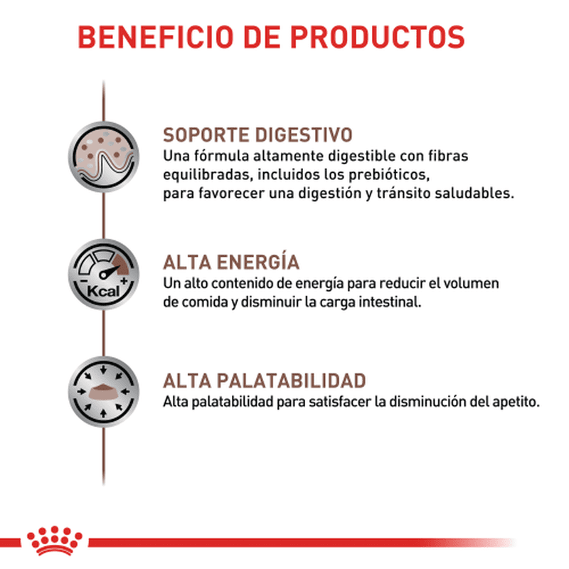royal-canin-gastro-intestinal-cat