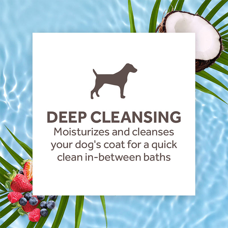 Tropiclean Shampoo En Seco Deep Cleaning Dog Laika Mascotas