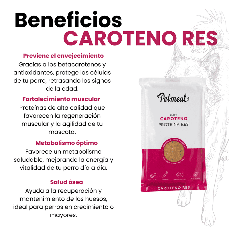 petmeal-sabor-caroteno