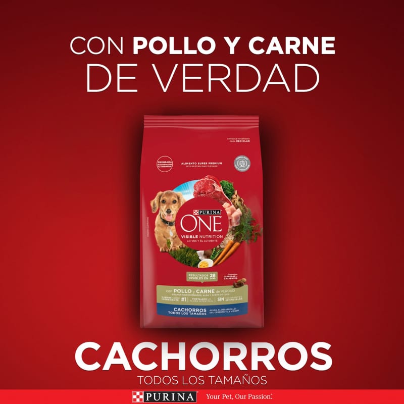 purina-one-cachorros-todos-los-tamanos-pollo-y-carne