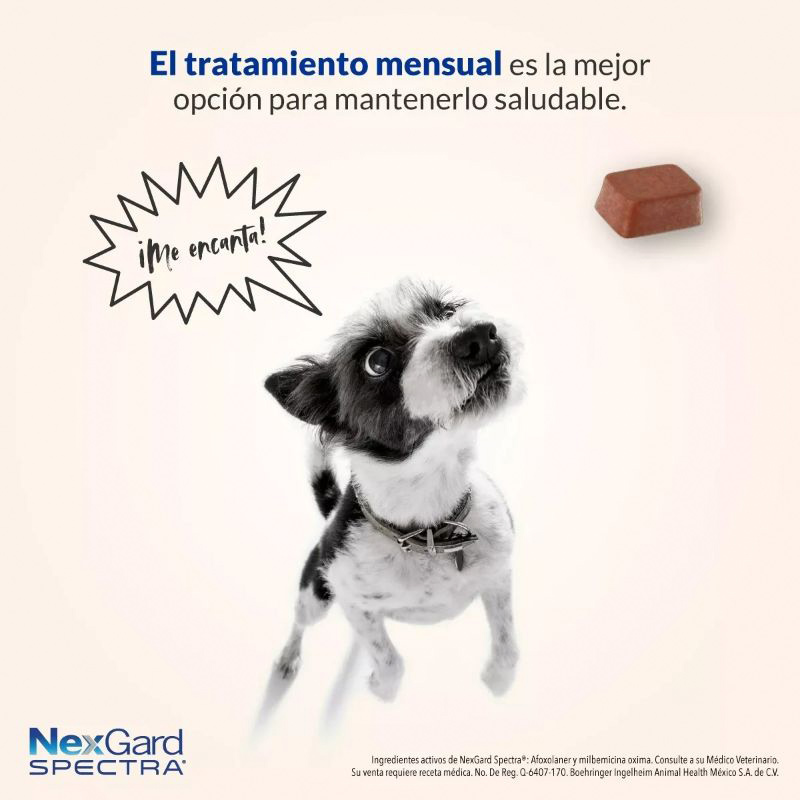 nexgard-spectra-tableta-masticable-para-perros-301-60-kg