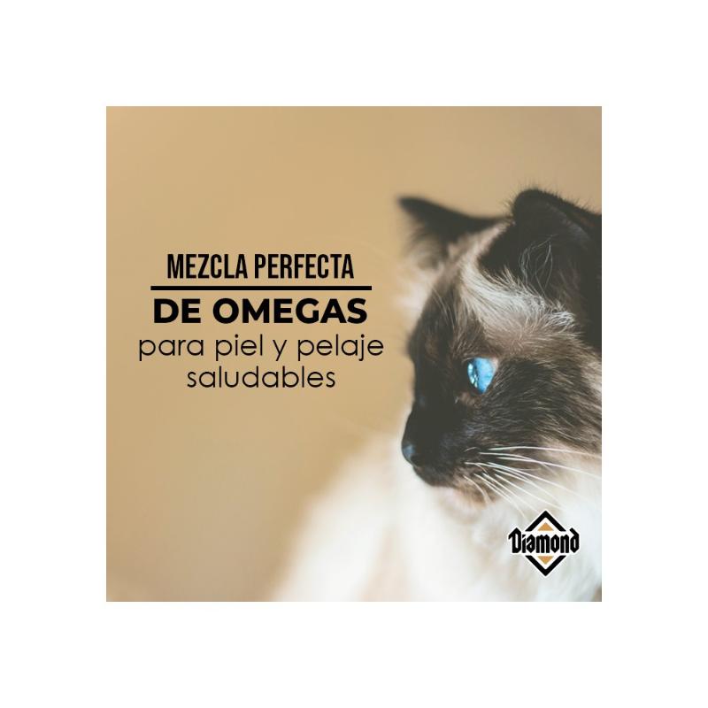 Diamond maintenance cat food online
