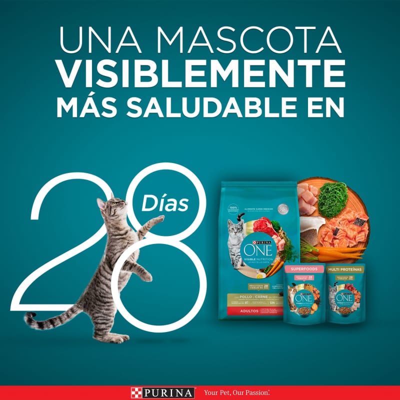 purina-one-gato-adulto-pollo-y-carne