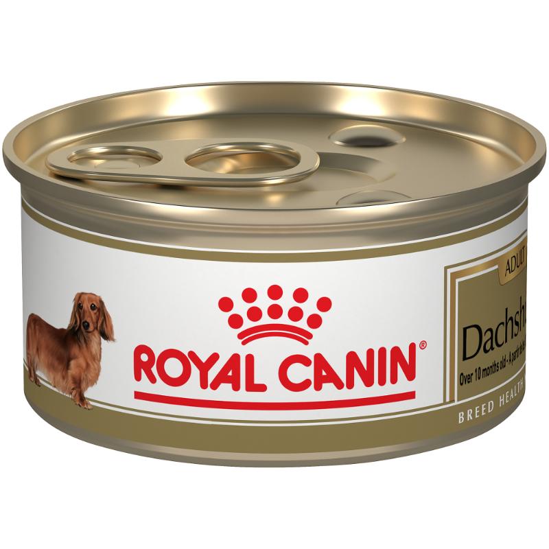 Royal Canin - Bhn  Dachshund Lata