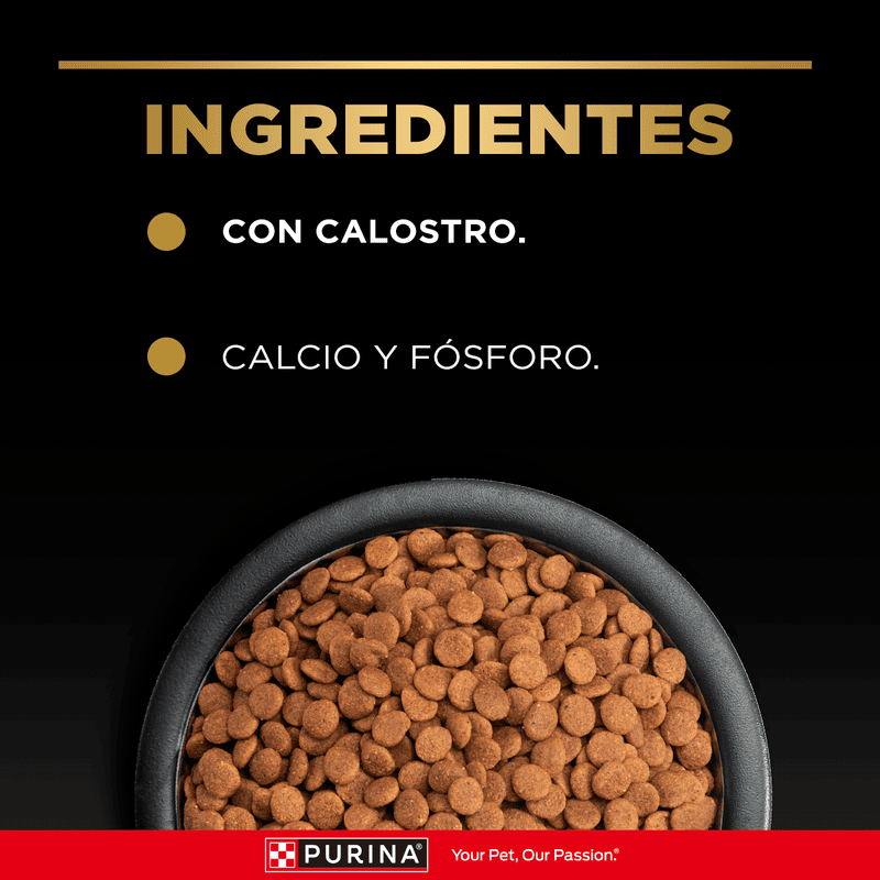 pro-plan-puppy-razas-medianas