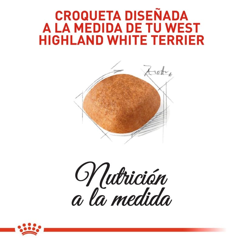 royal-canin-west-highland-white-terrier