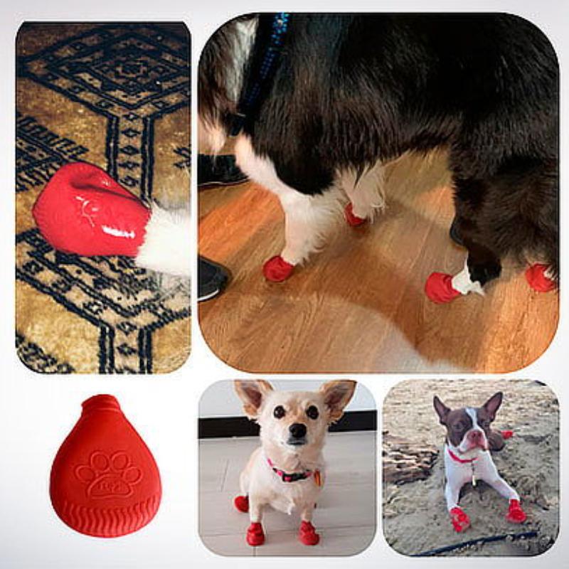 flipsdogs-flips-dogs-zapatos-para-perro