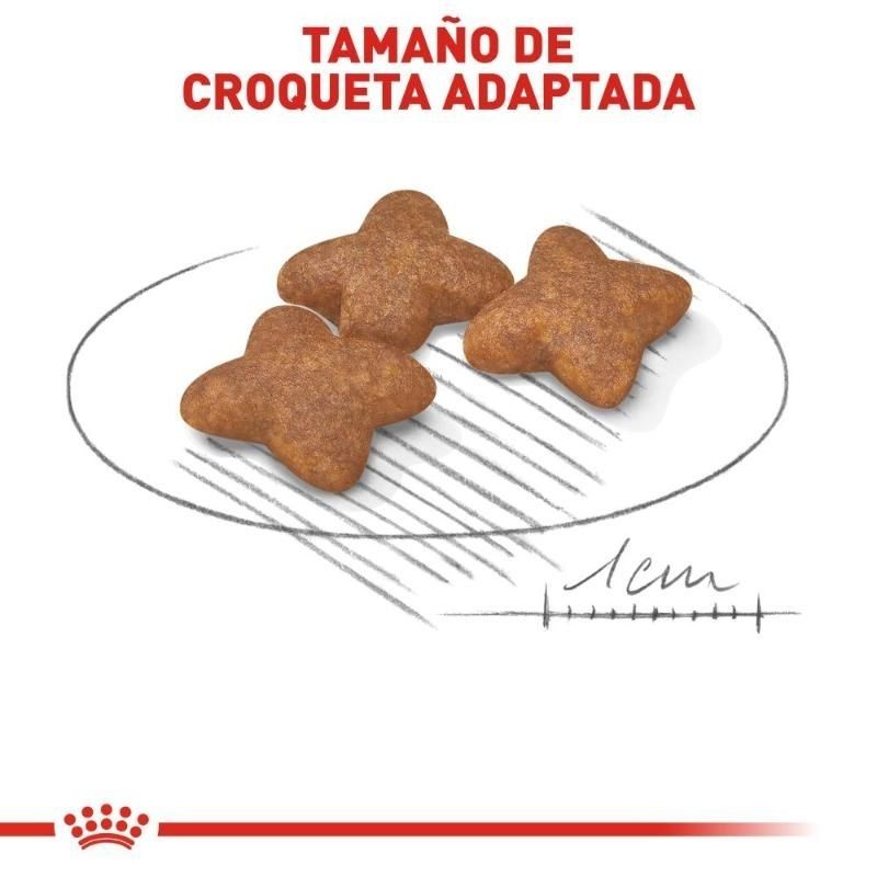royal-canin-alimento-seco-para-perro-adulto-talla-pequena