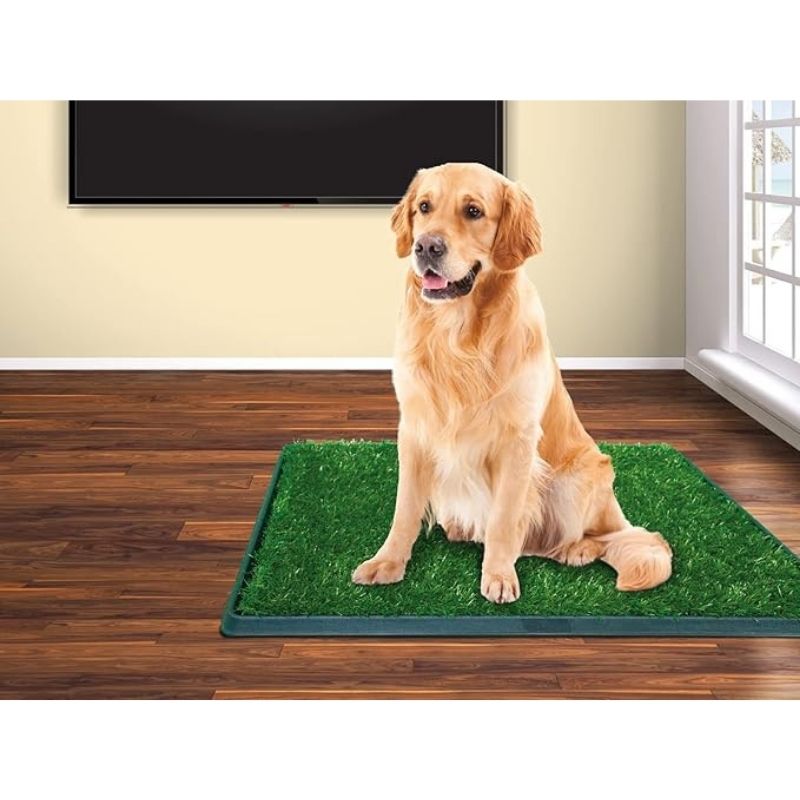 green-carpet-tapete-entrenador-con-pasto-sintetico