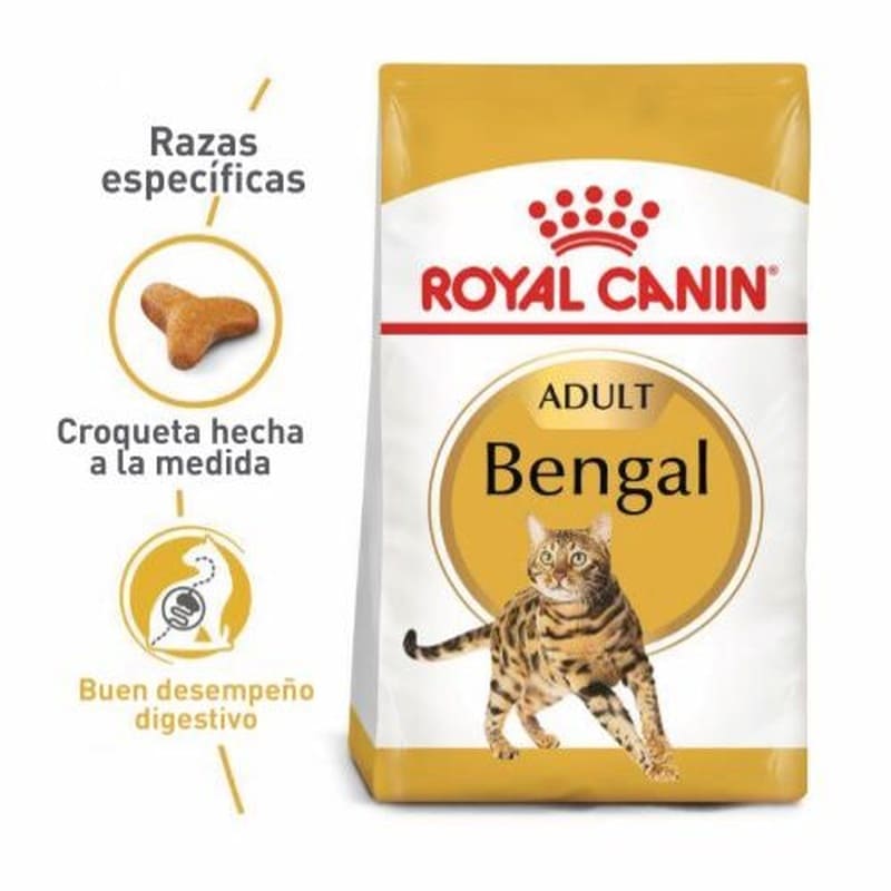 royal-canin-bengali-adulto