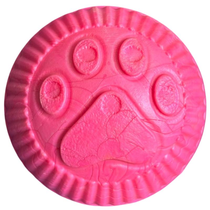 paw-day-pelota-mediana