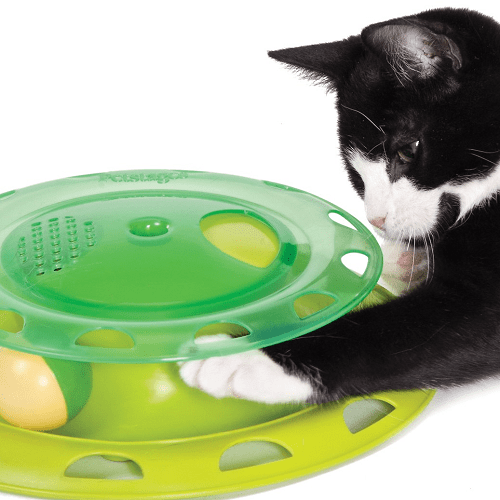 Petstages Gimnasio Mini Catnip Chaser. Laika Mascotas