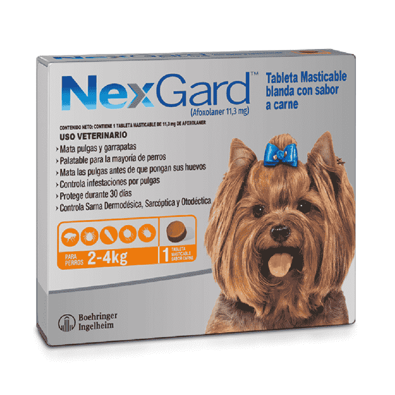 NexGard - Perros De 2 Hasta 4 Kg