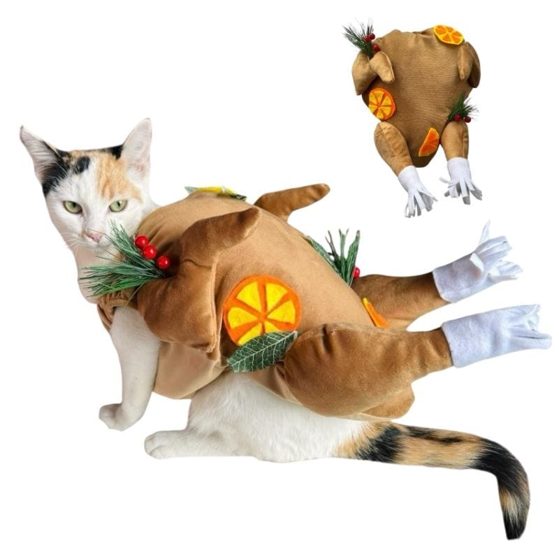 perrina-disfraz-pavo-al-horno