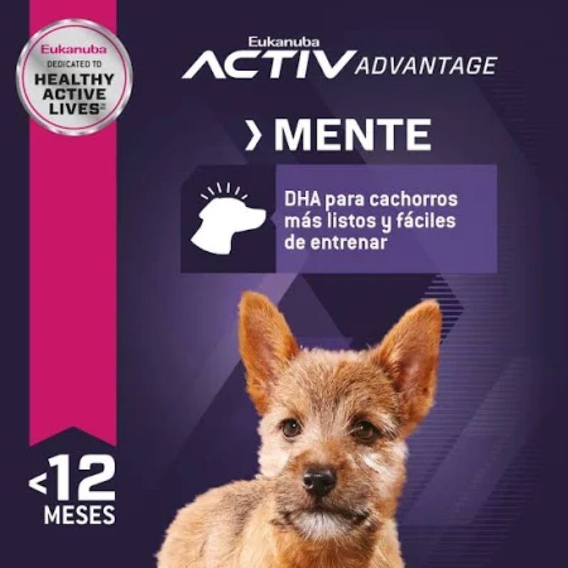 eukanuba-puppy-small-breed