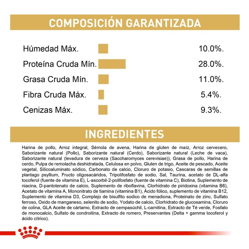 royal-canin-labrador