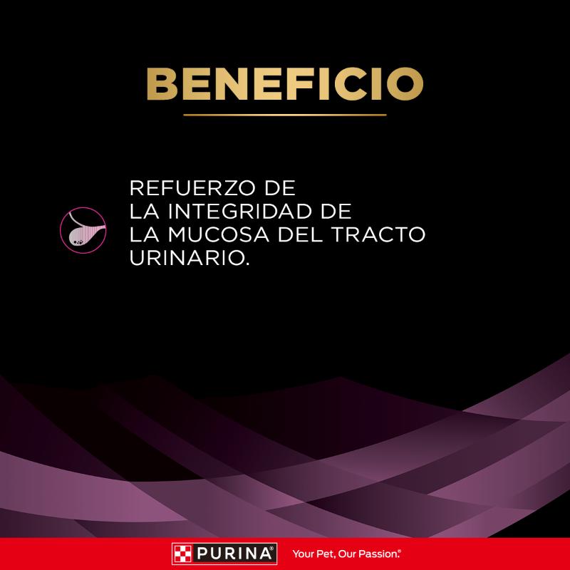 proplan-veterinary-diets-comida-humeda-ur-cuidado-urinario-perros