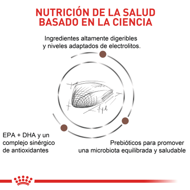 royal-canin-gastro-intestinal-cat