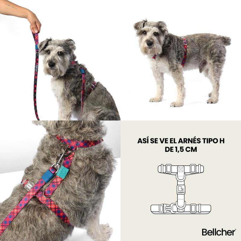 bellcher-arnes-tipo-h-hawai-pop-15-cm