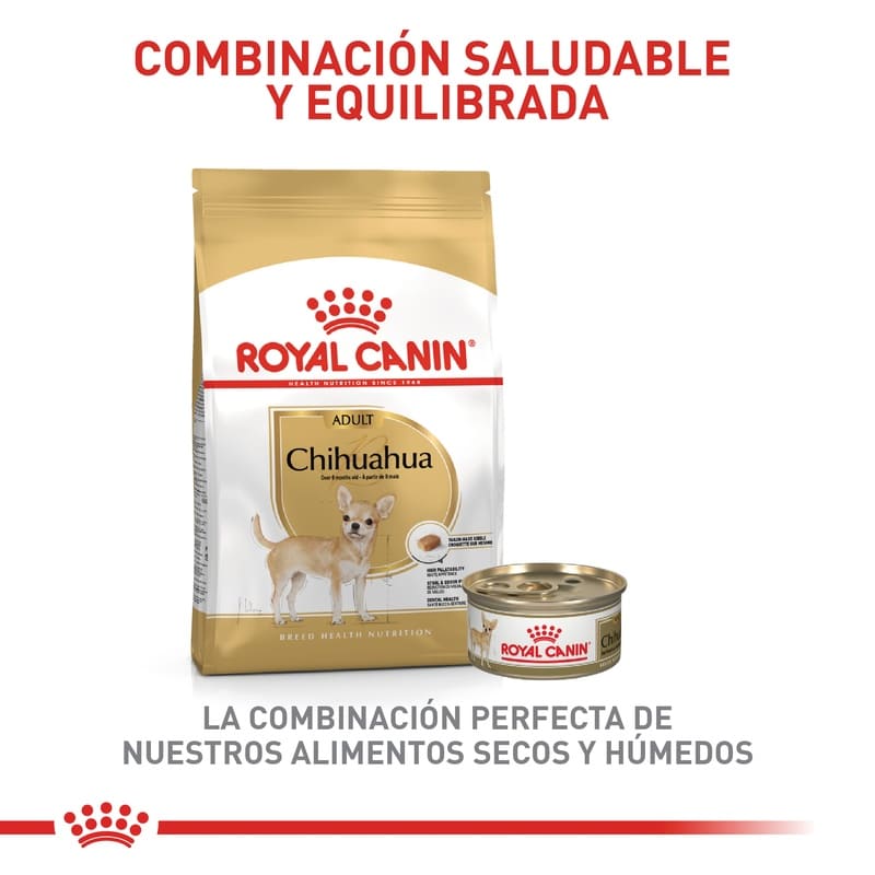 royal-canin-chihuahua-adulto