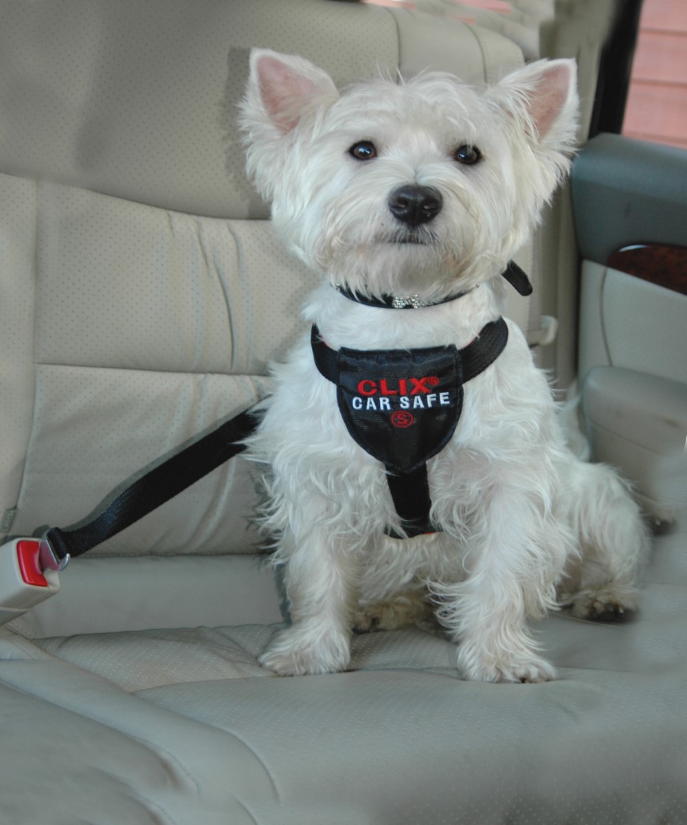 CLIX CAR SAFE Laika Mascotas