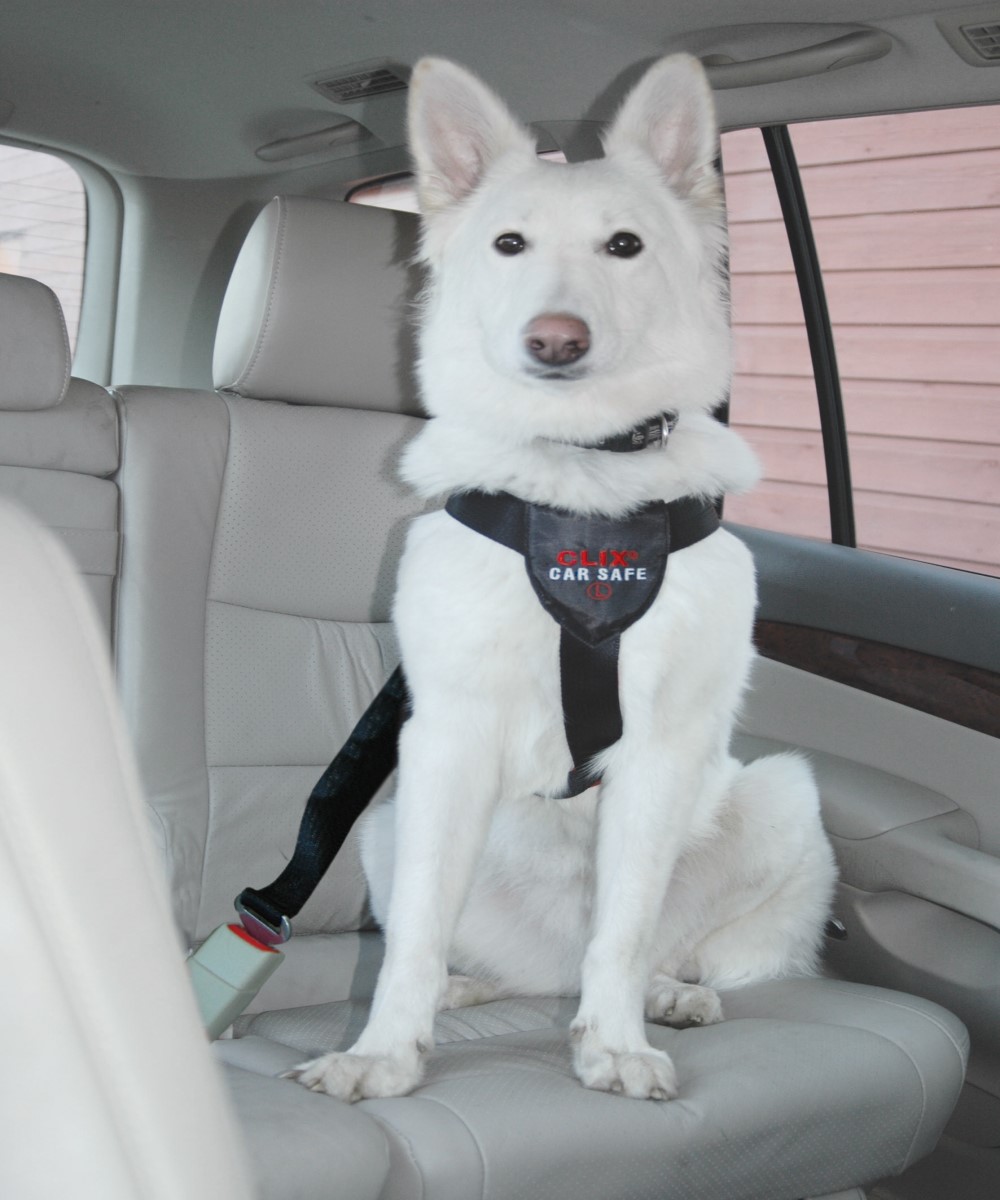 CLIX CAR SAFE Laika Mascotas