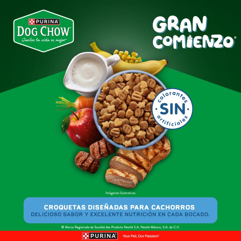 dog-chow-salud-visible-cachorros-medianos-y-grandes