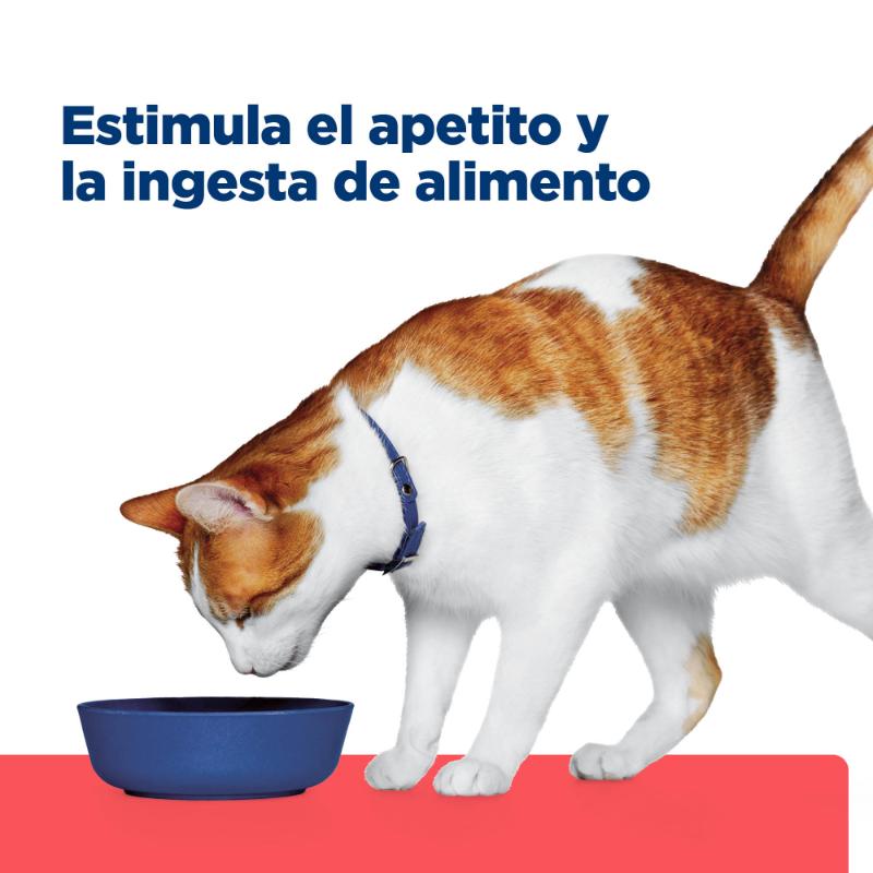 hills-alimento-para-gato-onc-care