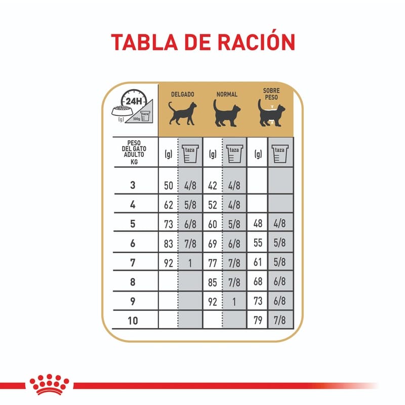 royal-canin-fbn-maine-coon-adult