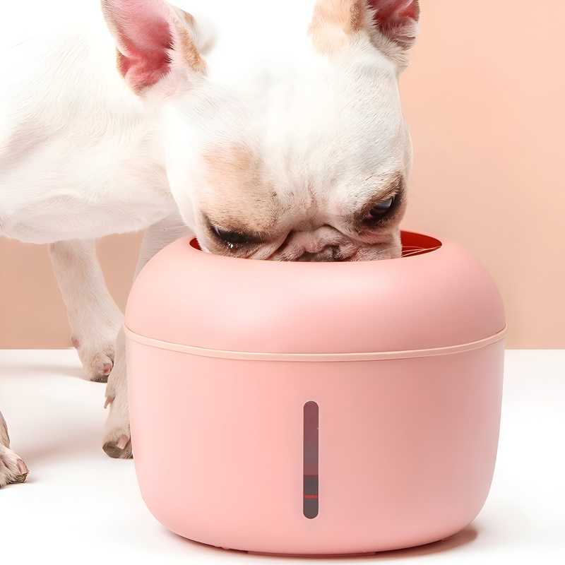 colmascotas-fuente-de-agua-importada-sweet-multicolor