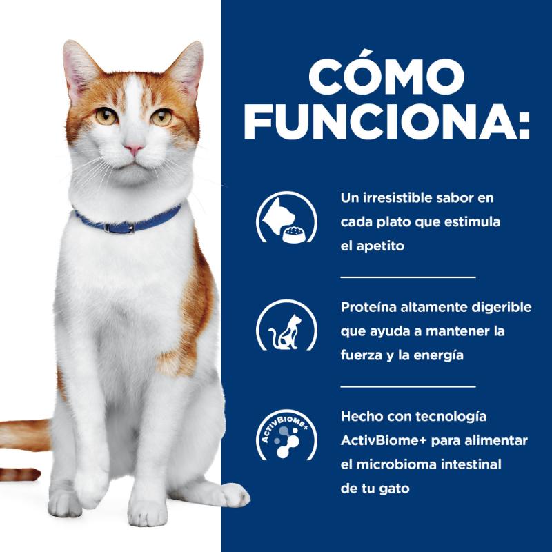 hills-alimento-para-gato-onc-care