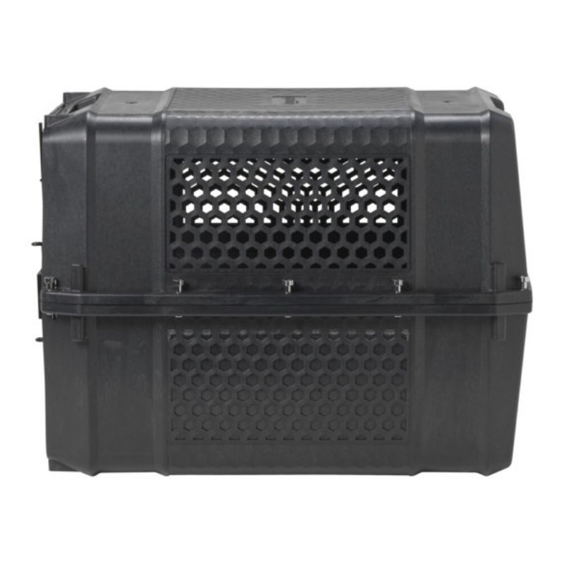 Transportadora Gateway Negra