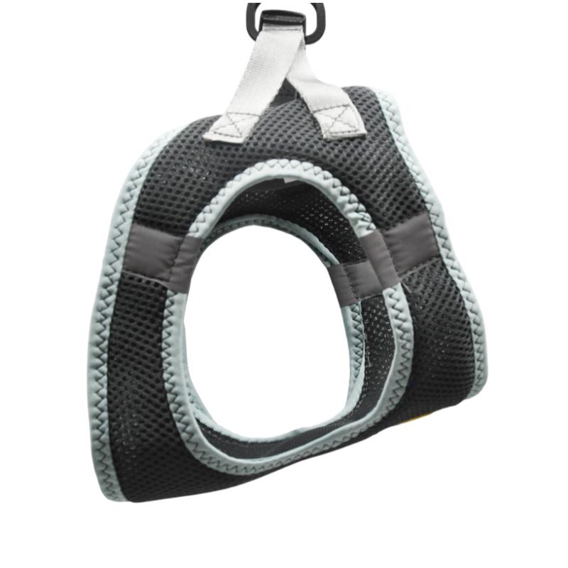 paw-day-arnes-malla-gris