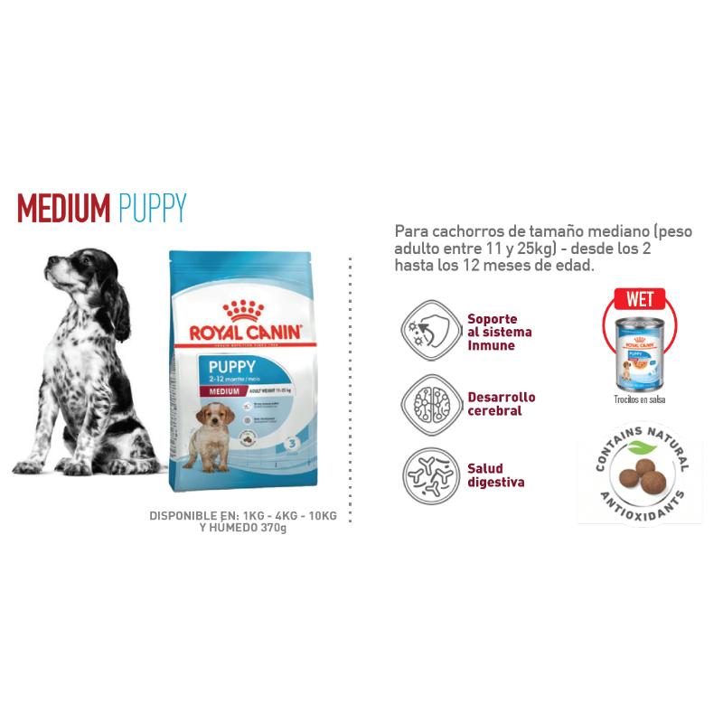 royal-canin-shn-medium-puppy-lata