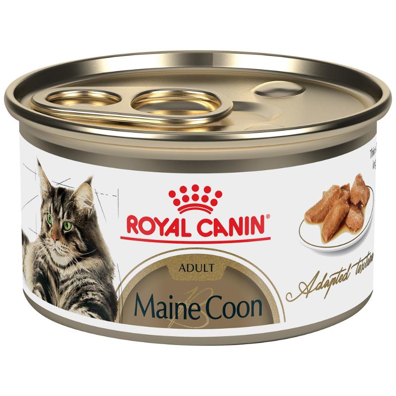 Royal Canin - Fbn Maine Coon Lata