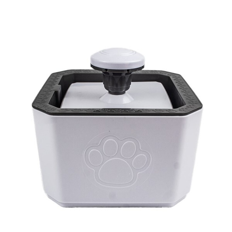 Paw Day -  Fuente Cuadrada