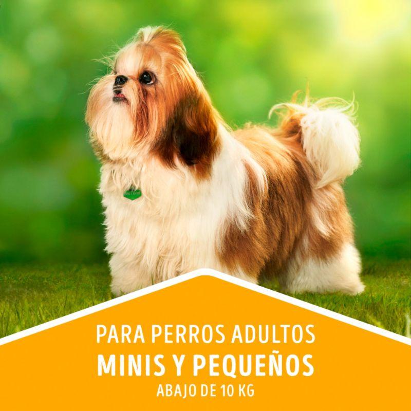 dog-chow-salud-visible-adultos-minis-y-pequenos