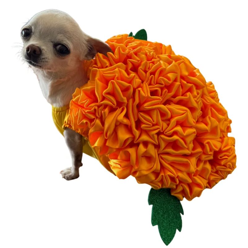 perrina-disfraz-flore-de-cempazuchil