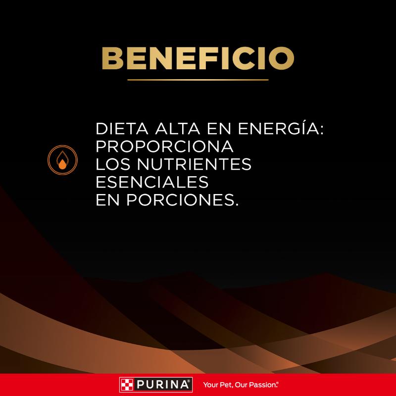 proplan-veterinary-diets-comida-humeda-nf-enfermedad-renal-etapa-inicial-gatos