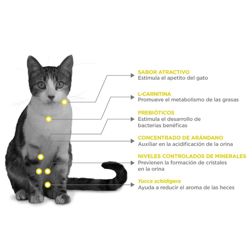 nupec-felino-urinary-management