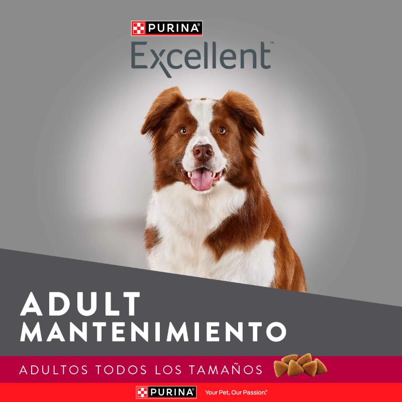 excellent-adulto-maintenance-formula