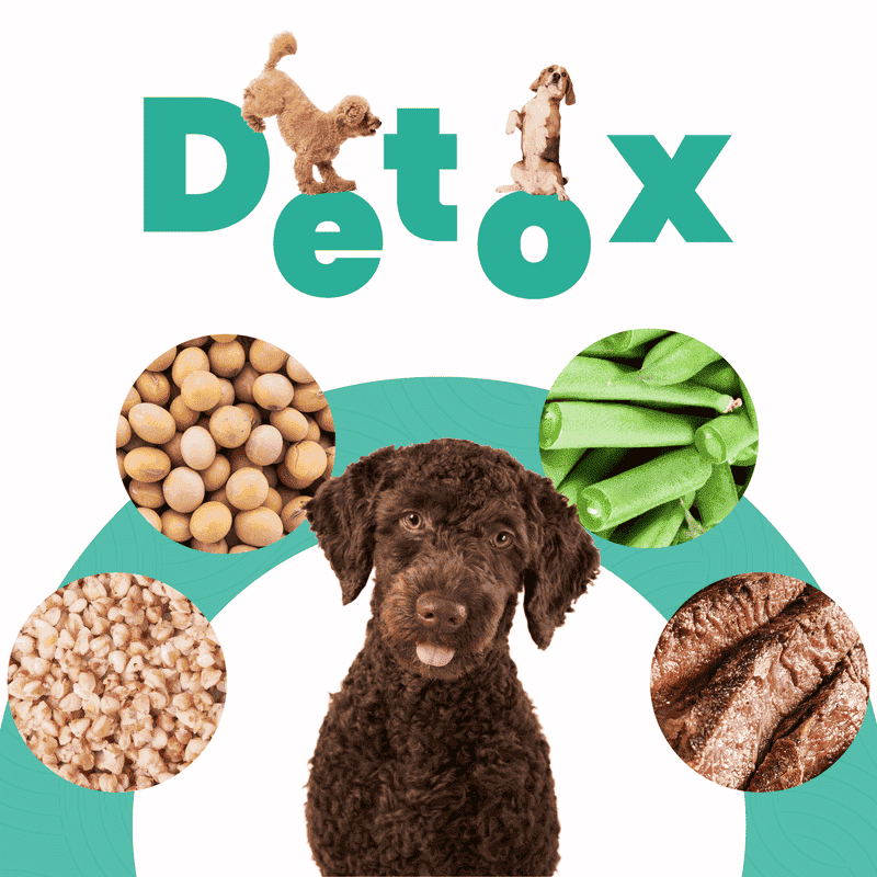 petmeal-sabor-detox