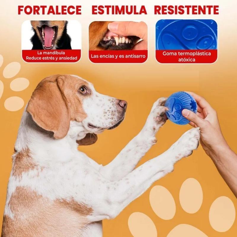 paw-day-pelota-mediana